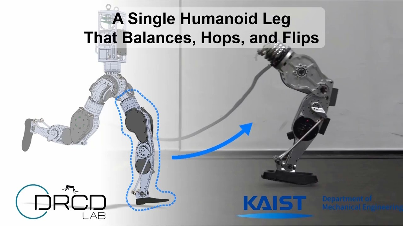 Design of a 3-DOF Hopping Robot with an Optimized Gearbox: An Intermediate Platform Toward Bipedal Robots